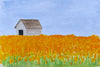 Watercolor painting of a field saturated with daffodils and a barn in the background l
