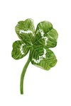 Lucky Clover - Watercolor Postcard | Reconnect Club Artwork