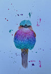 Lilac Breasted Roller (Blue Background) - Watercolor Postcard | Reconnect Club Artwork