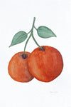 Fuzzy Peaches- Watercolor Postcard | Reconnect Club Artwork