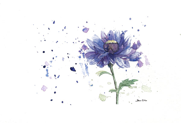 Blue Chrysanthemum - Watercolor Postcard | Reconnect Club Artwork