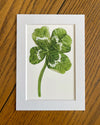 Matted Art Print Upgrade