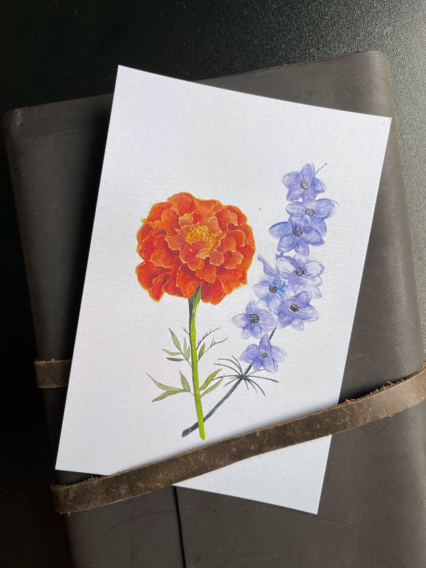 Marigold & Larkspur - Watercolor Postcard | Reconnect Club Artwork