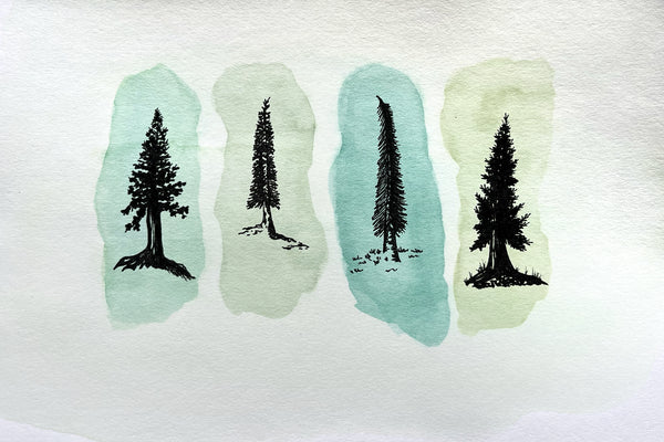 Water color and ink painting of pine trees on green background