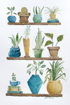 Watercolor painting of potted plants on wooden shelves