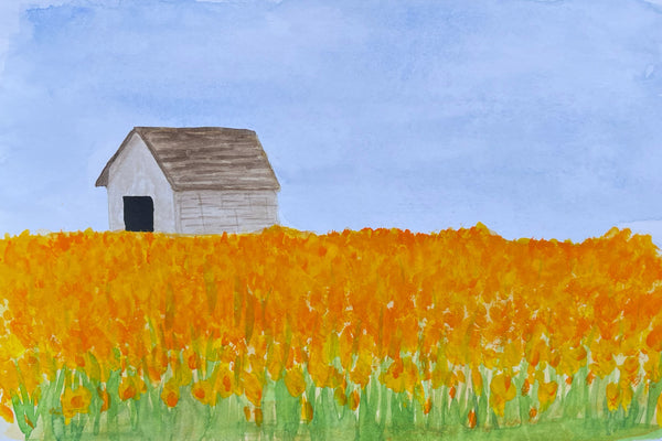Watercolor painting of a field saturated with daffodils and a barn in the background l