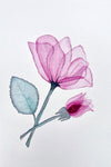 Transparent Tulips (Blue Background) - Watercolor Postcard | Reconnect Club Artwork