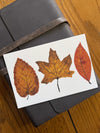 Autumn Leaves - Watercolor Postcard | Reconnect Club Artwork