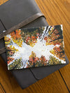 Fall Sky Gazing- Watercolor Postcard | Reconnect Club Artwork