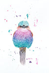 Lilac Breasted Roller - Watercolor Postcard | Reconnect Club Artwork