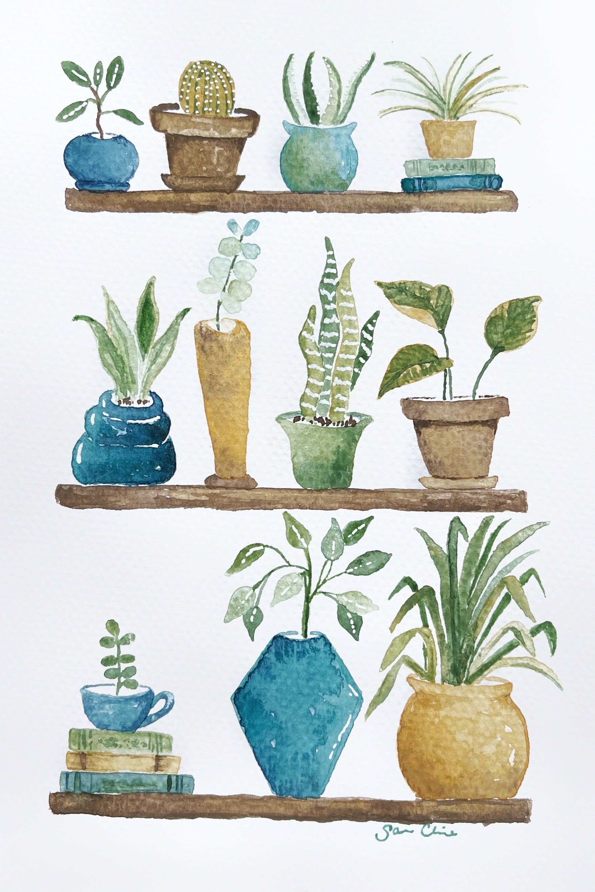 paintings of potted plants Potted Plants - Watercolor Postcard